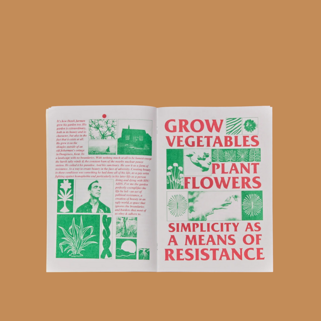 A Radical Garden Zine interior