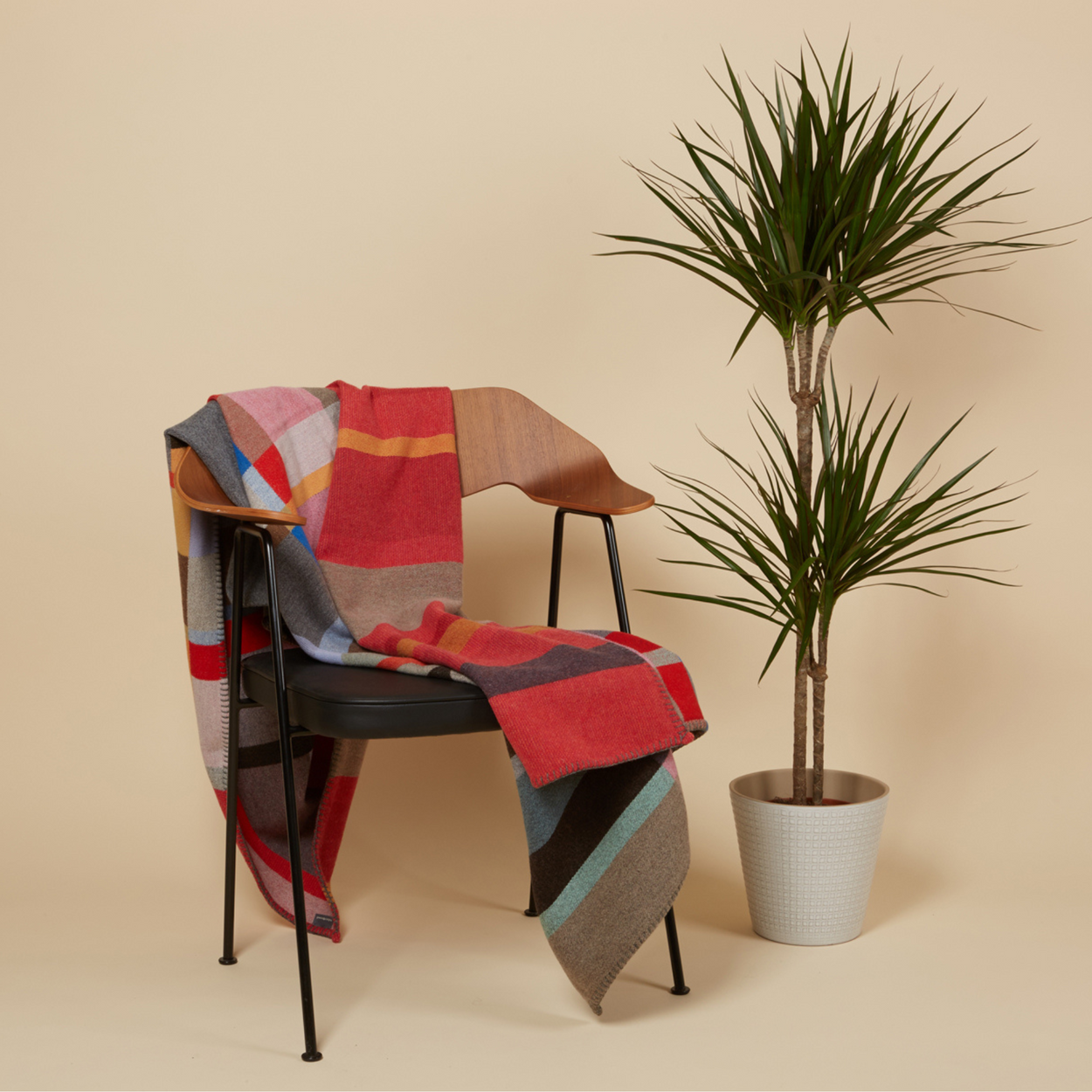 Wallace Sewell Premium Lasdun Merino Lambswool blanket draped on chair next to pot plant