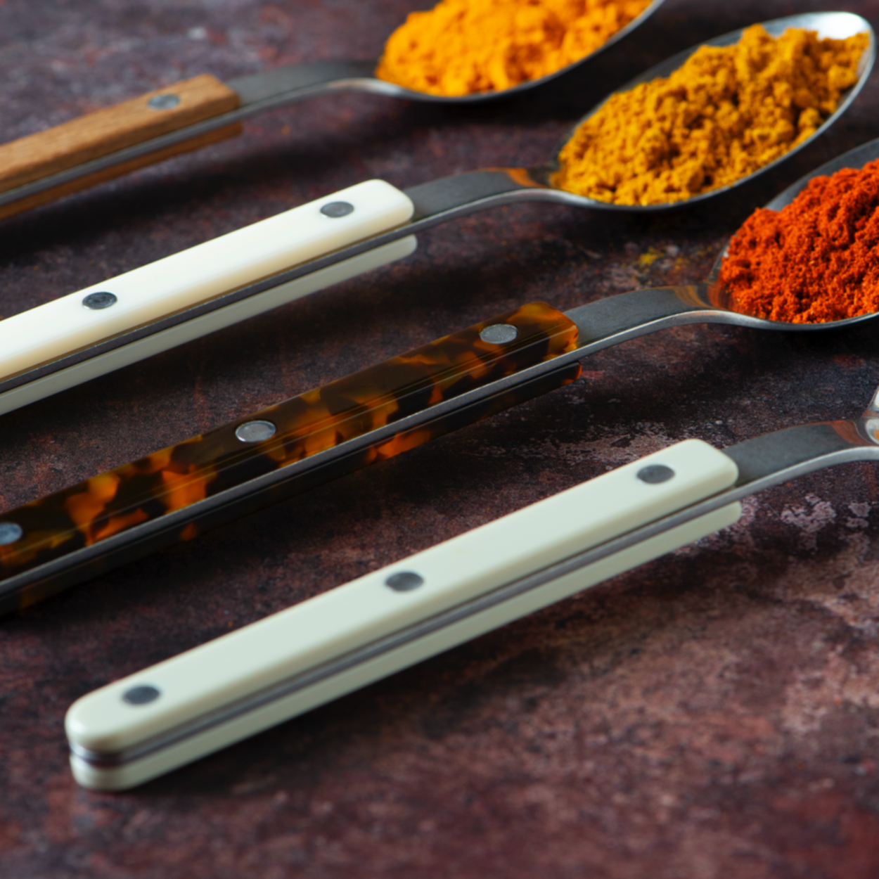 Mixed colour Sabre Paris Bistrot Cutlery with spices