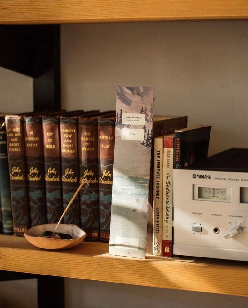 Juniper Ridge incense burning in bowl on bookshelf with incense packet and amplifier.