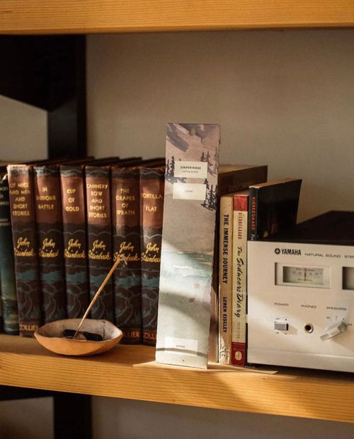 Juniper Ridge incense burning in bowl on bookshelf with incense packet and amplifier.