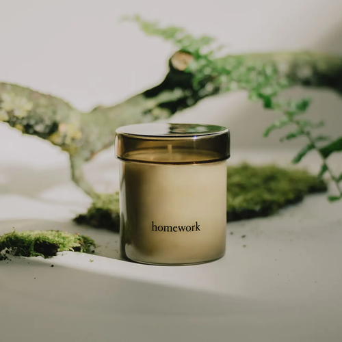 A Premium Homework glass jar candle with lid sits in front of a branch with lichen.