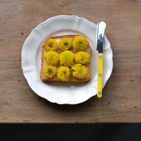 Sabre Bistrot Butter Spreader Yellow with flower covered bread