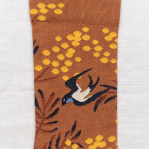 Close up of Caramel Mimosa Bonne Maison socks on white backdrop.