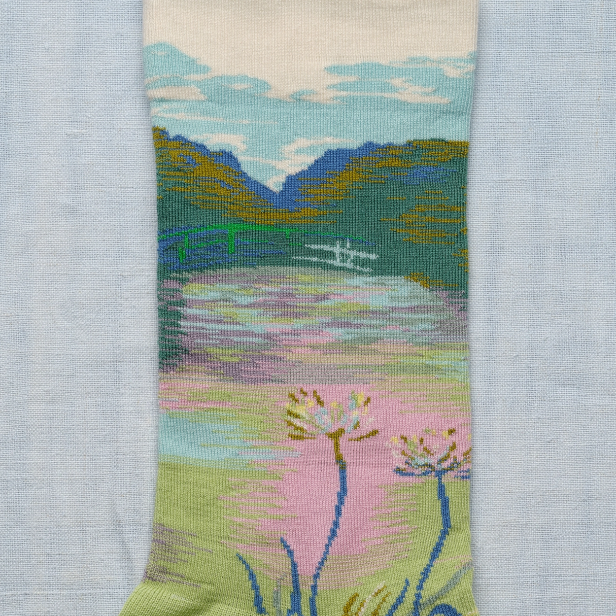 Close up of Garden Bonne Maison socks on white backdrop.