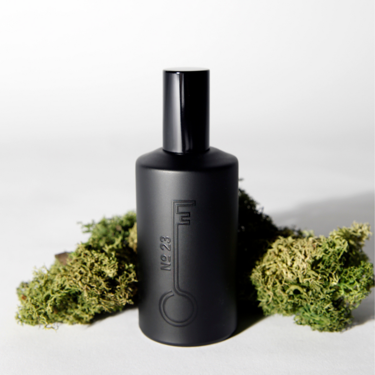 Black bottle with green foliage on a white background