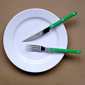 Knife and fork of stainless steel Sabre Paris cutlery with grass green handles on a white plate with brown background