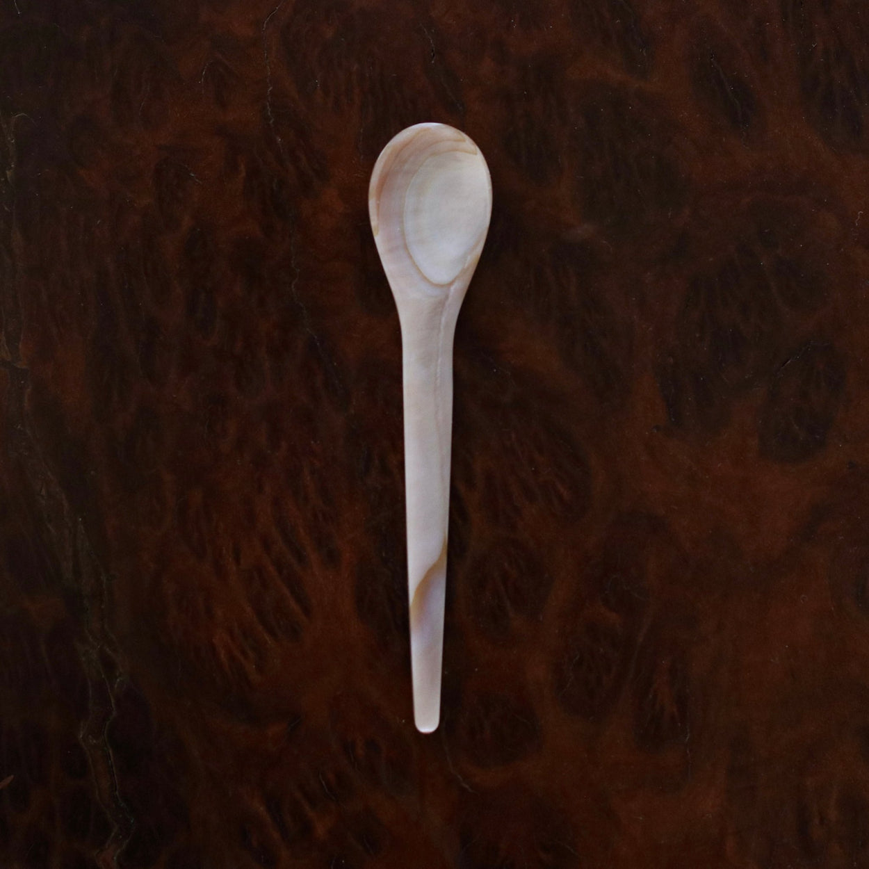 Medium Japanese Mother of Pearl Shell Spoon