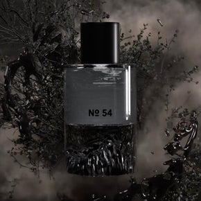 FISCHERSUND NO.54 EDP