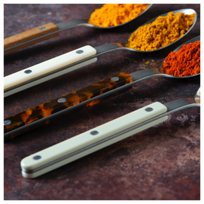 Mixed colour Sabre Paris Bistrot Cutlery with spices